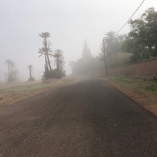 Foggy morning run. #runninginmorocco #runmorocco #sightrunning #goforarun #training #igersmorocco #igrunning #health #run #runners #running #morocco #travel #runnerslife