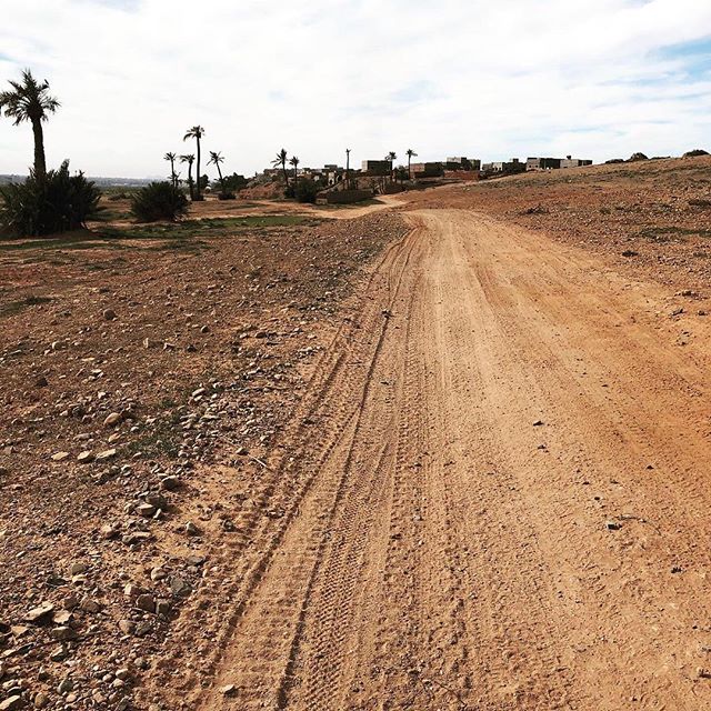 Some peace and quiet away from the city this afternoon. #runninginmorocco #runmorocco #sightrunning #goforarun #training #igersmorocco #igrunning #health #run #runners #running #morocco #travel #runnerslife