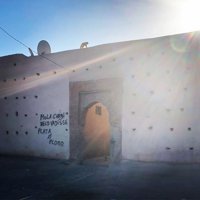 Beautiful day for a run by the city walls. #runninginmorocco #runmorocco #sightrunning #goforarun #training #igersmorocco #igrunning #health #run #runners #running #morocco #travel #runnerslife