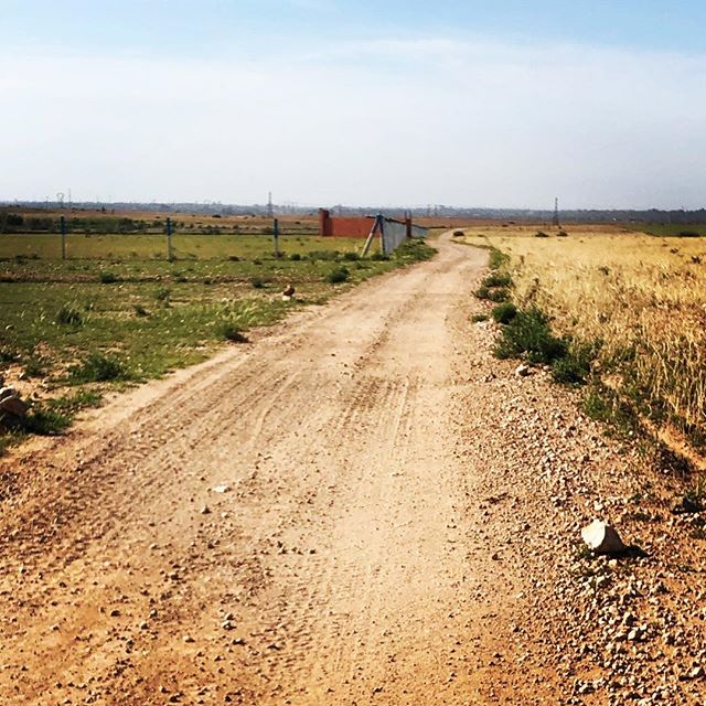 The road less traveled...
#runninginmorocco #runmorocco #sightrunning #goforarun #training #igersmorocco #igrunning #health #run #runners #running #morocco #travel #runnerslife