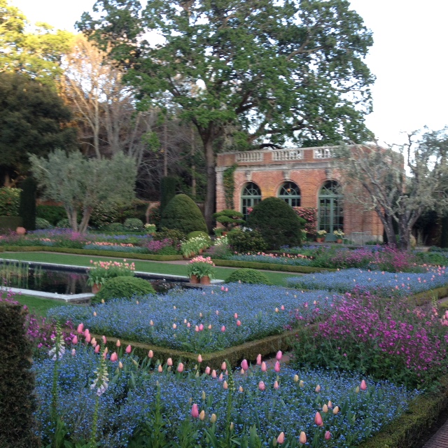 Filoli gardens sml.JPG