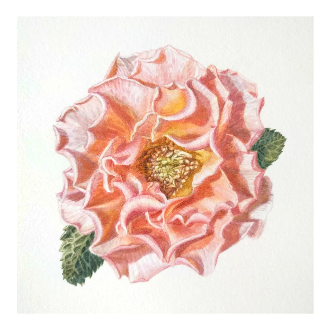 Instagram Sq copy.jpg