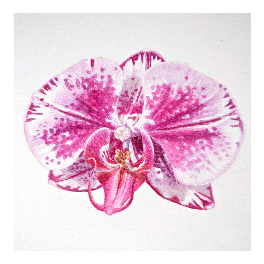 finished painting.jpg