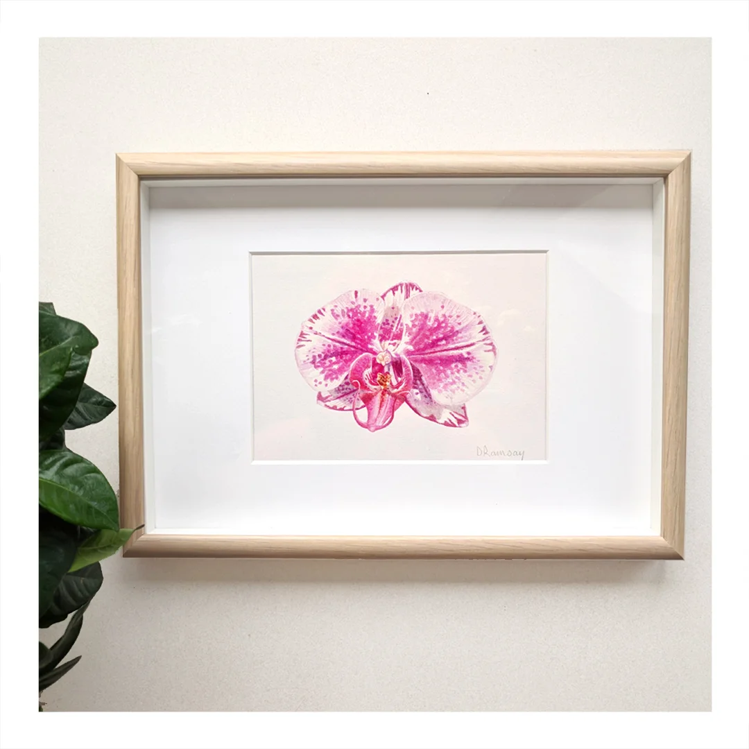 framed finish pic.jpg