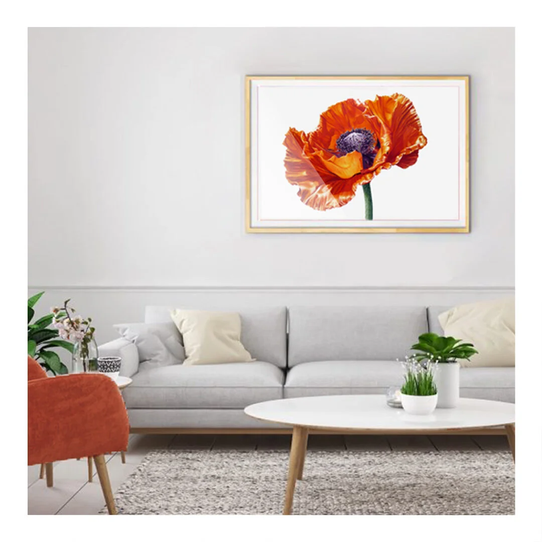 poppy03_interior02.jpg