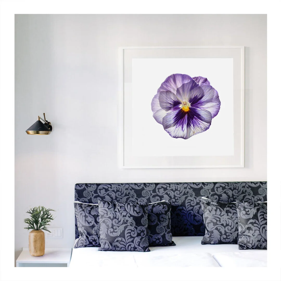Pansy_interior02.jpg