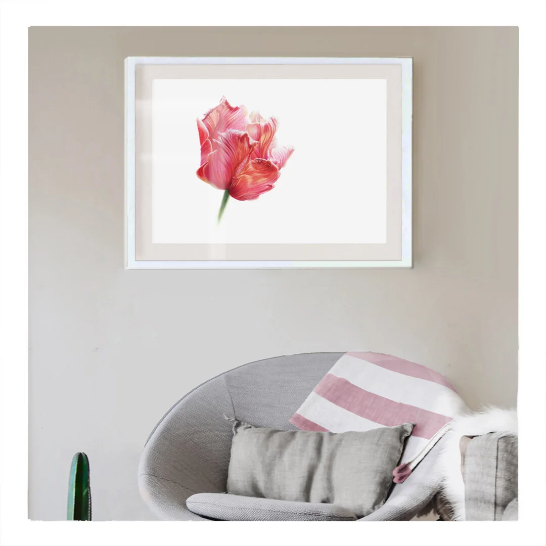 red_tulip_interior04copy.jpg