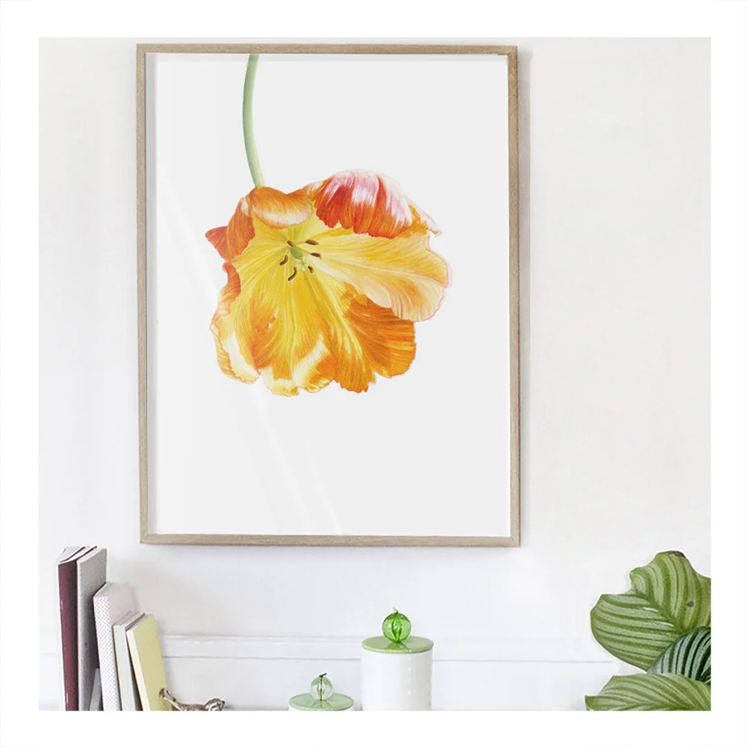 YellowTulip.jpg