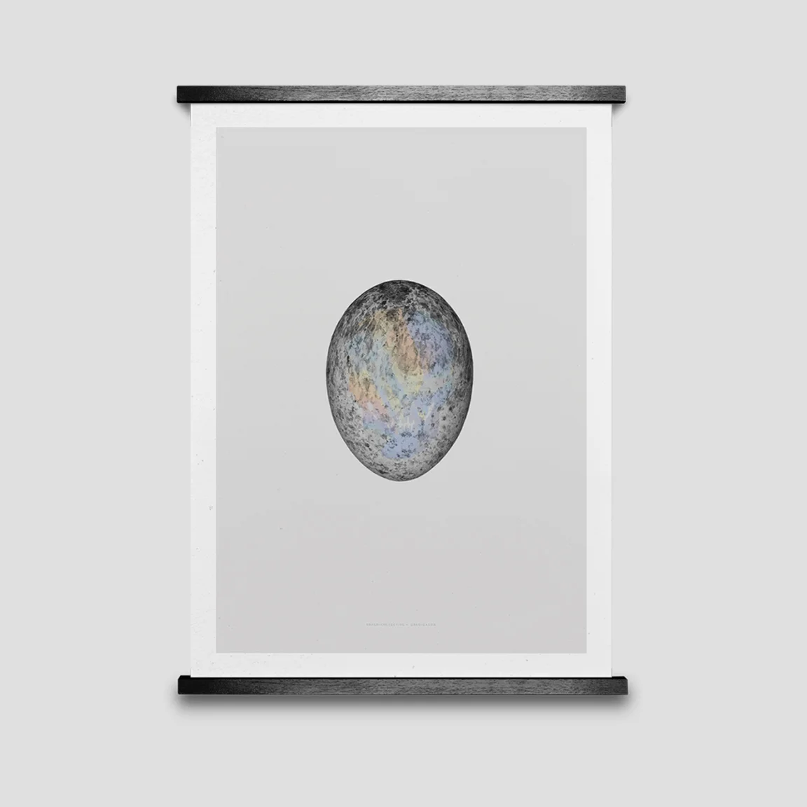 Egg.jpg