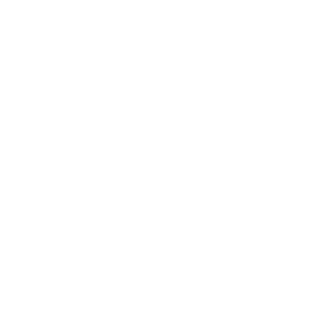 Shutterfly Logo