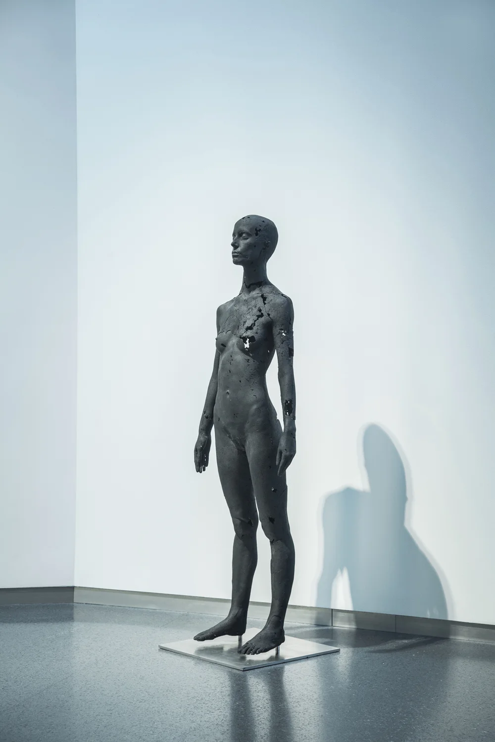 Tom Price Presence of Absence JM_2176a10.jpg