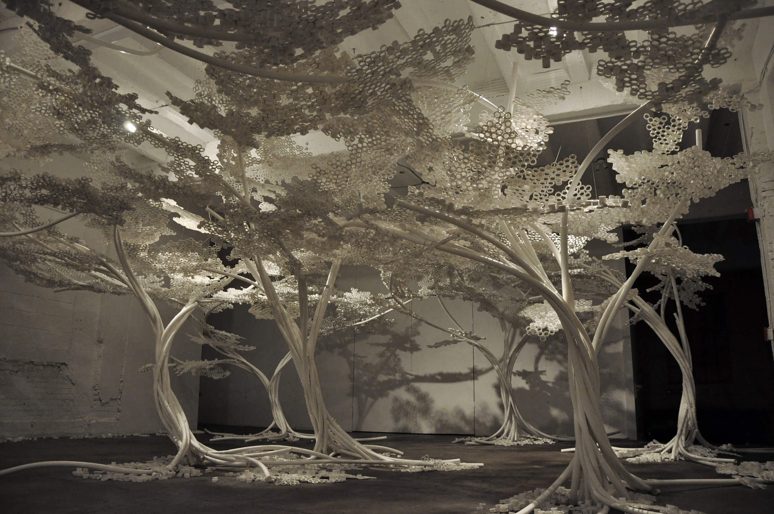 TOM PRICE PP TREES