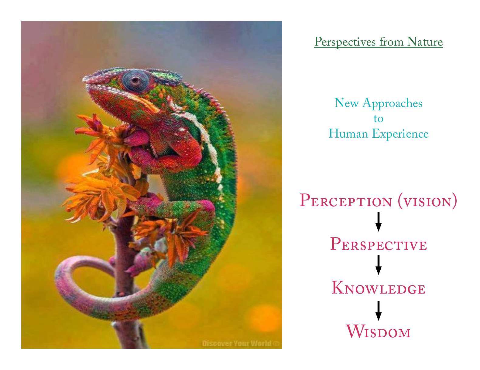 Screen Shot 2019-12-08 at 6.56.23 PM.png