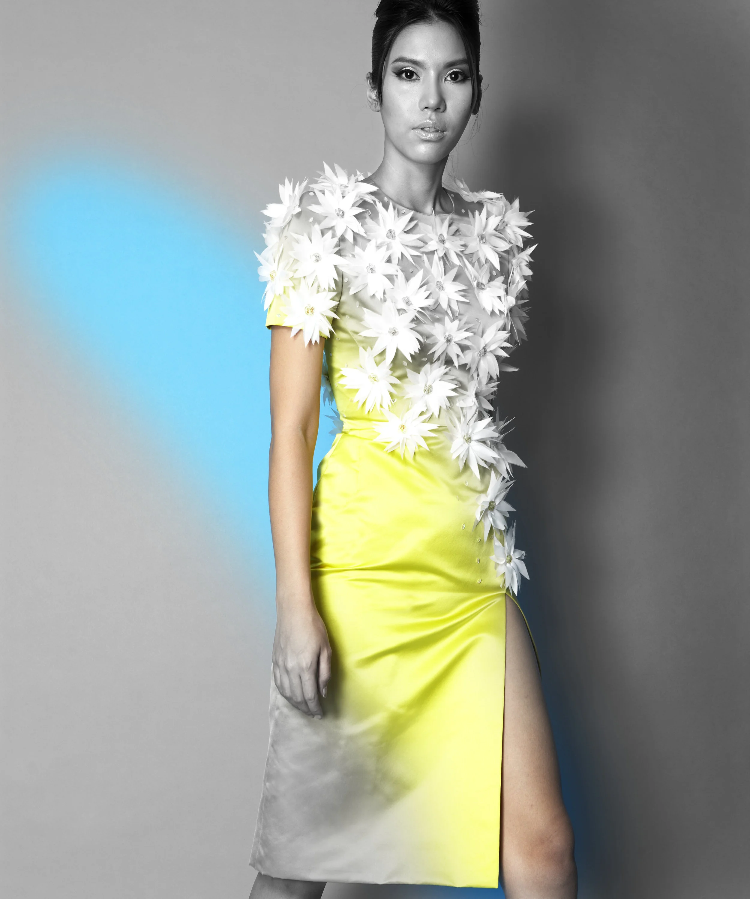 Daisy Dress