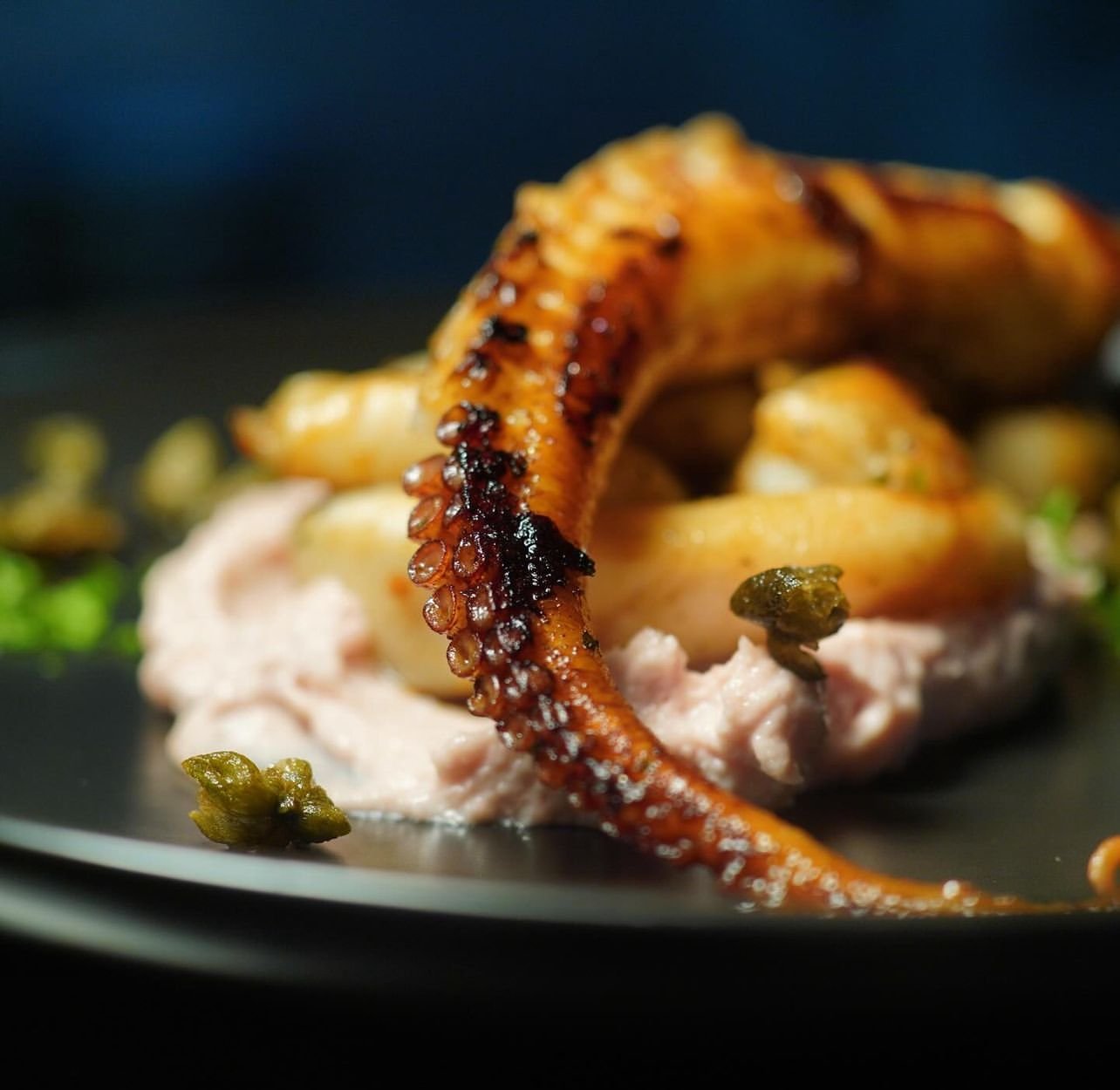 octopus.JPEG