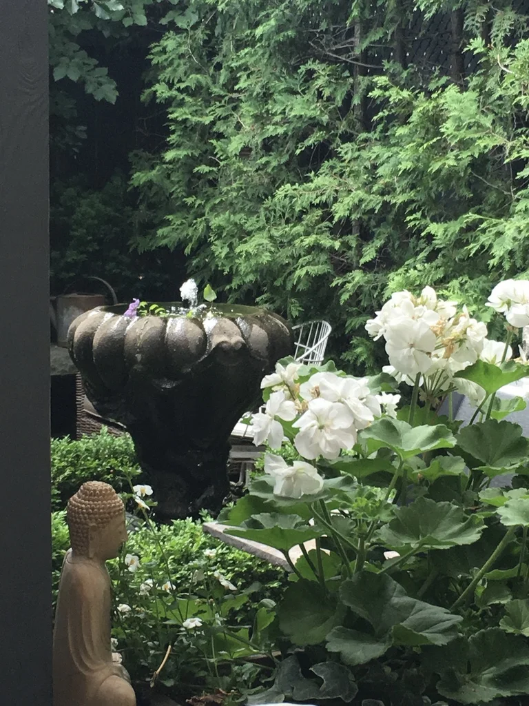 View from the terrace to fountain.