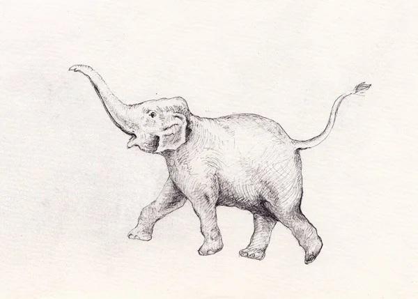 We took a drawing of an elephant that Katie really like. She told me that when the elephant's trunk is pointed up it means good luck.