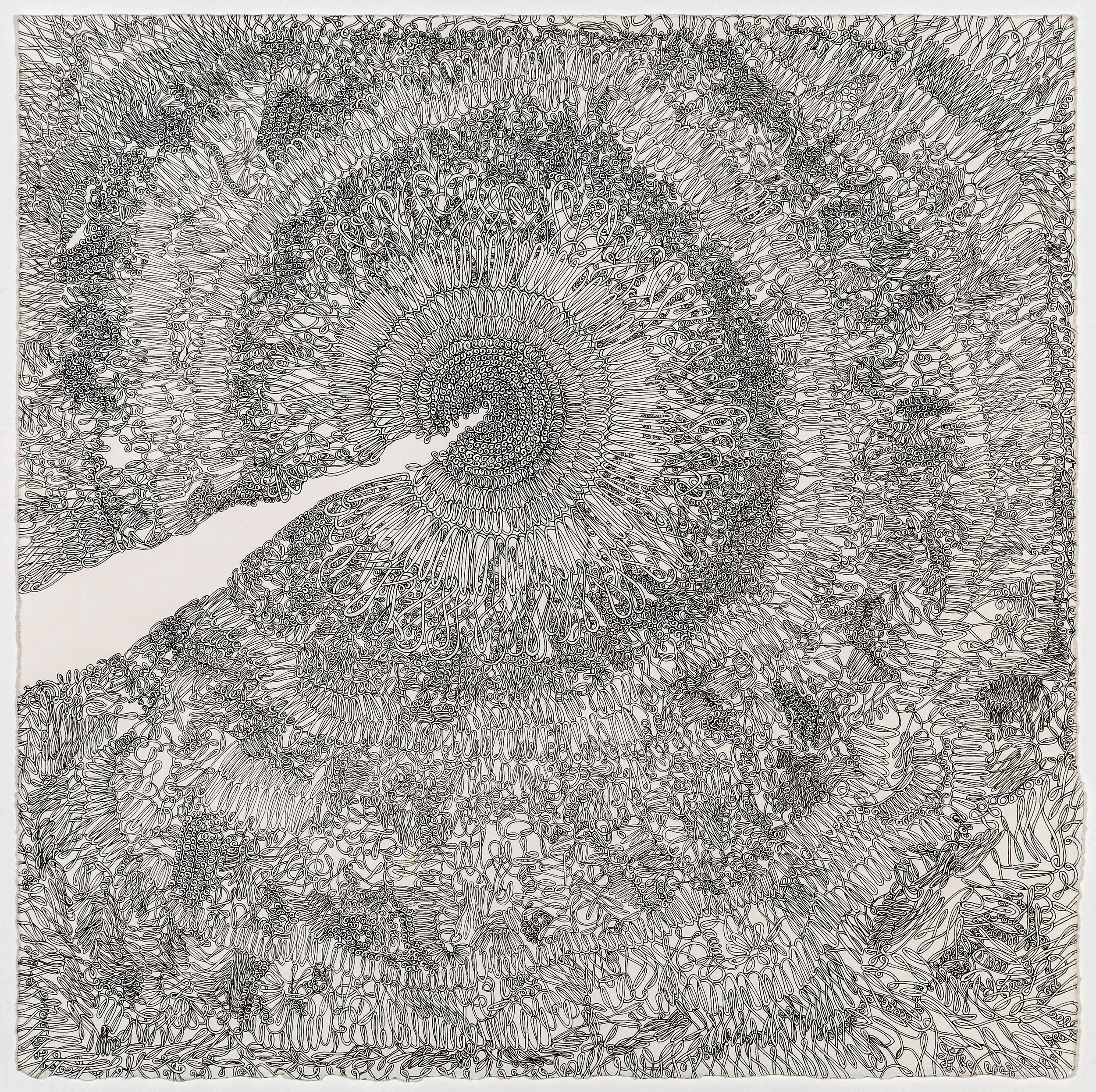   "I Could Knot", ink on paper,&nbsp;12x12 image,&nbsp;16x16 framed  
