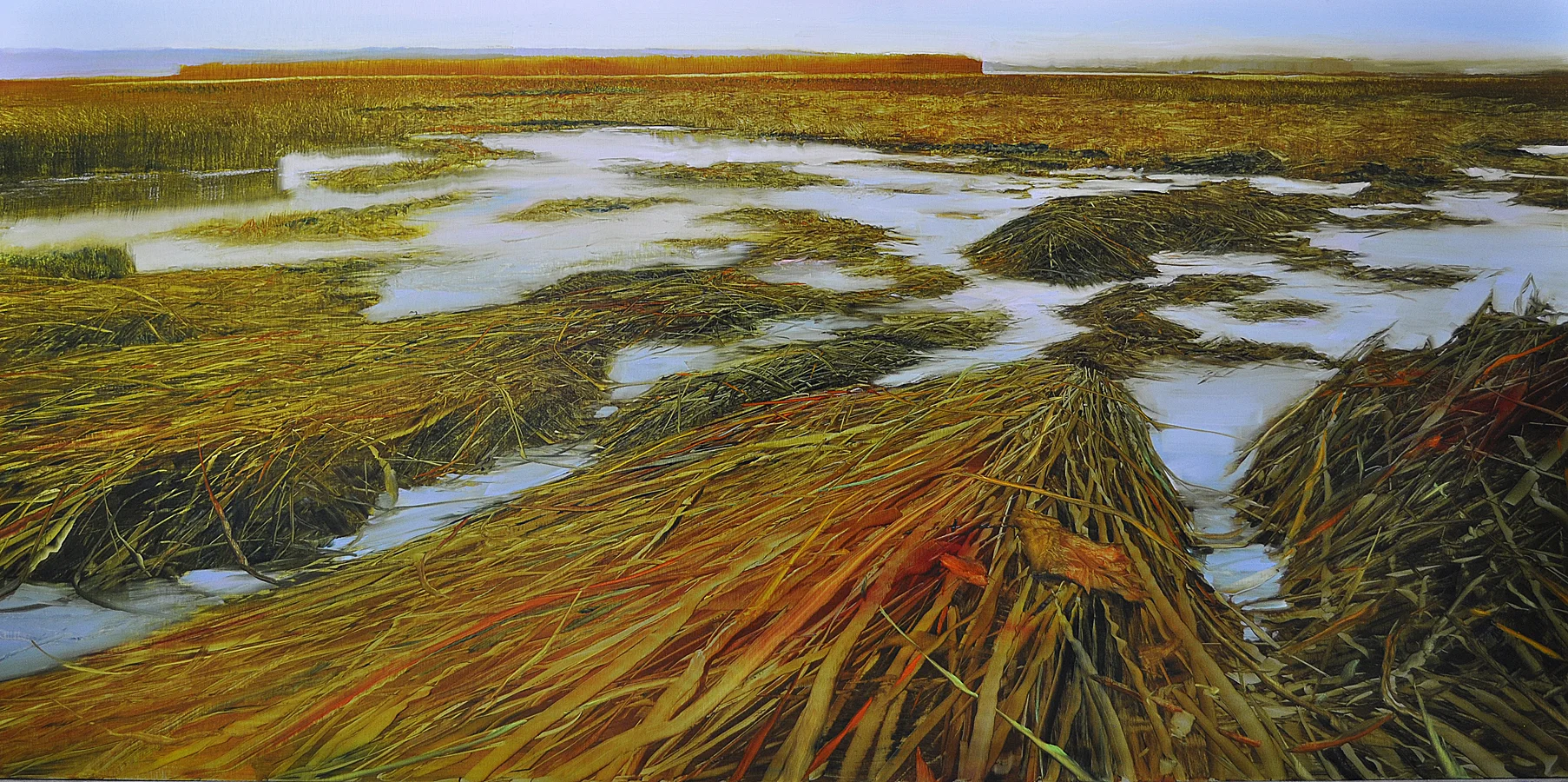 Dunlop_Shoreline Marsh Dunlop_Labyrinth_ oil on brushed silver anodized aluminum_24x48.jpg
