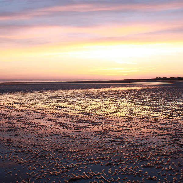 SUNSET2.jpg