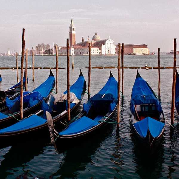 VENICE.jpg