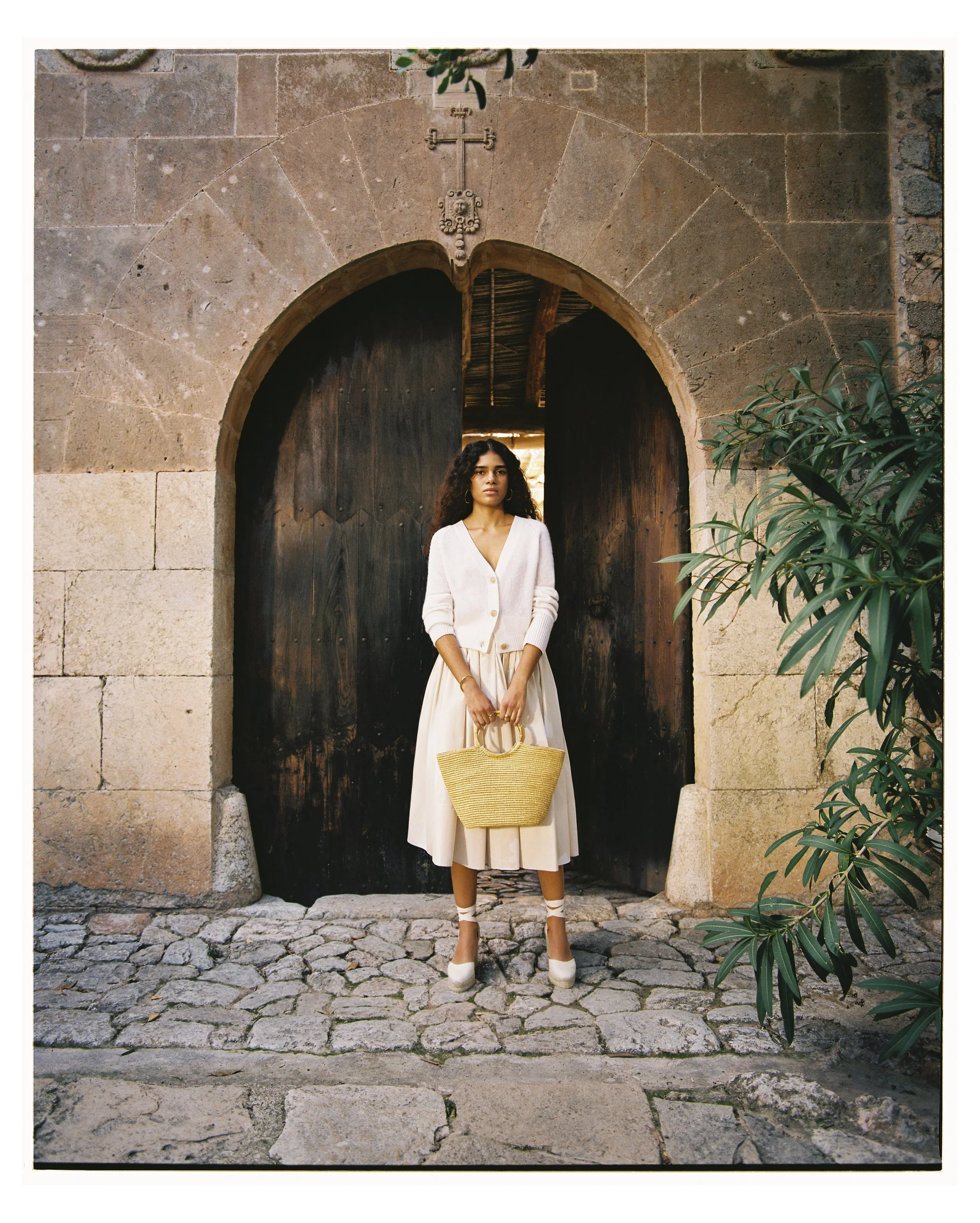   Laetitia  