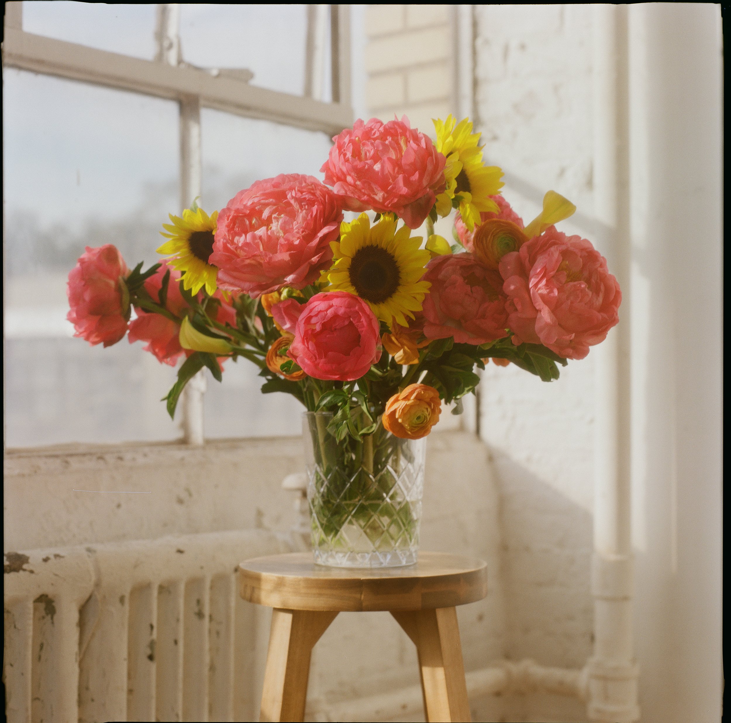 Flowers_MC_F_01.jpg