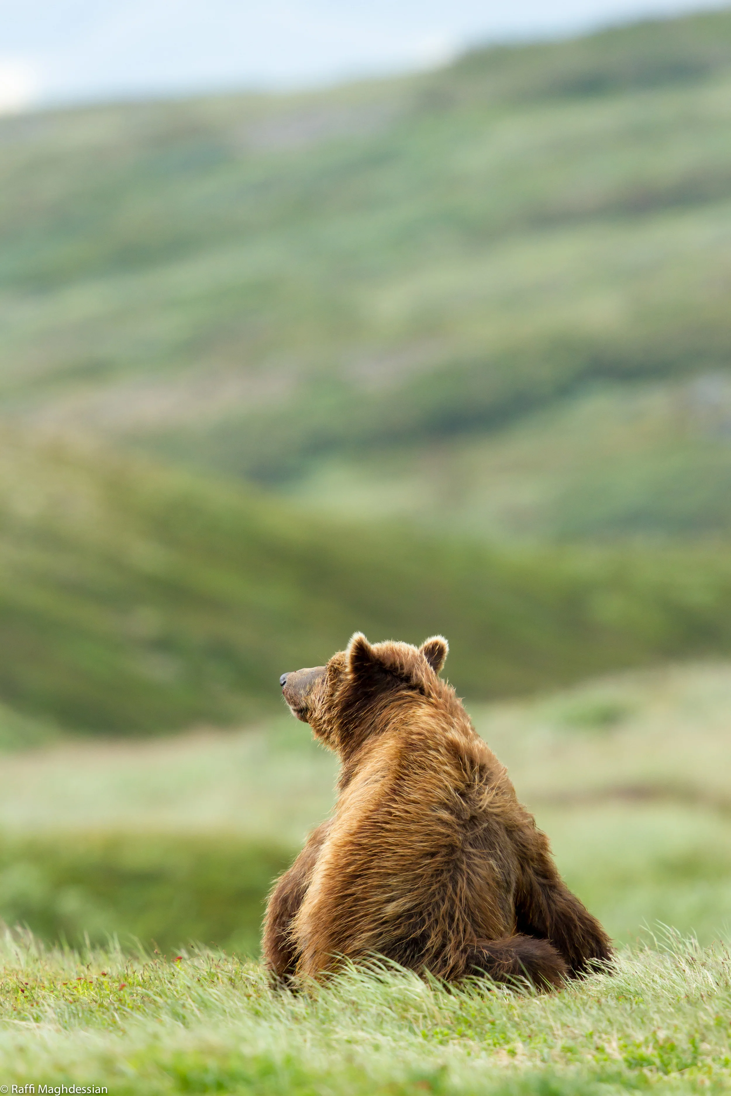 Alaska 2013-50.jpg