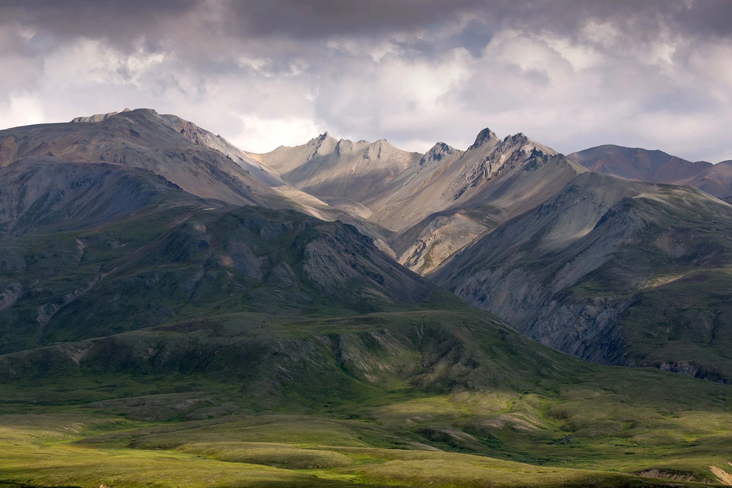 denali.jpg