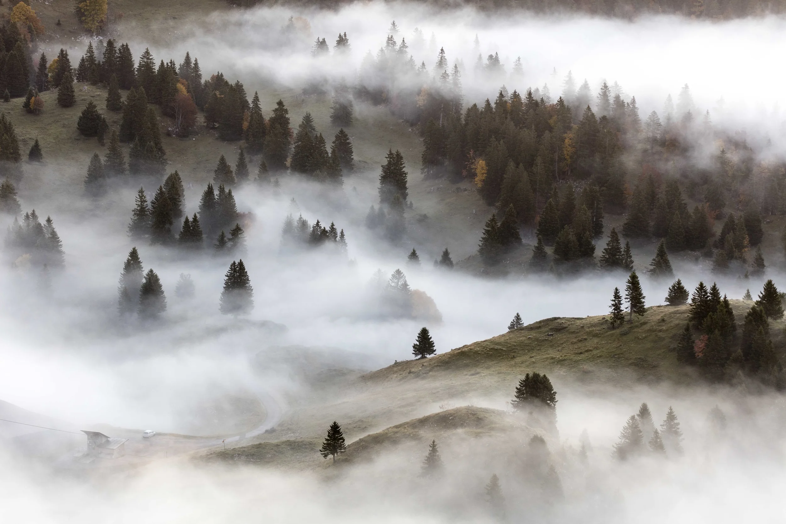 Automne-14.jpg