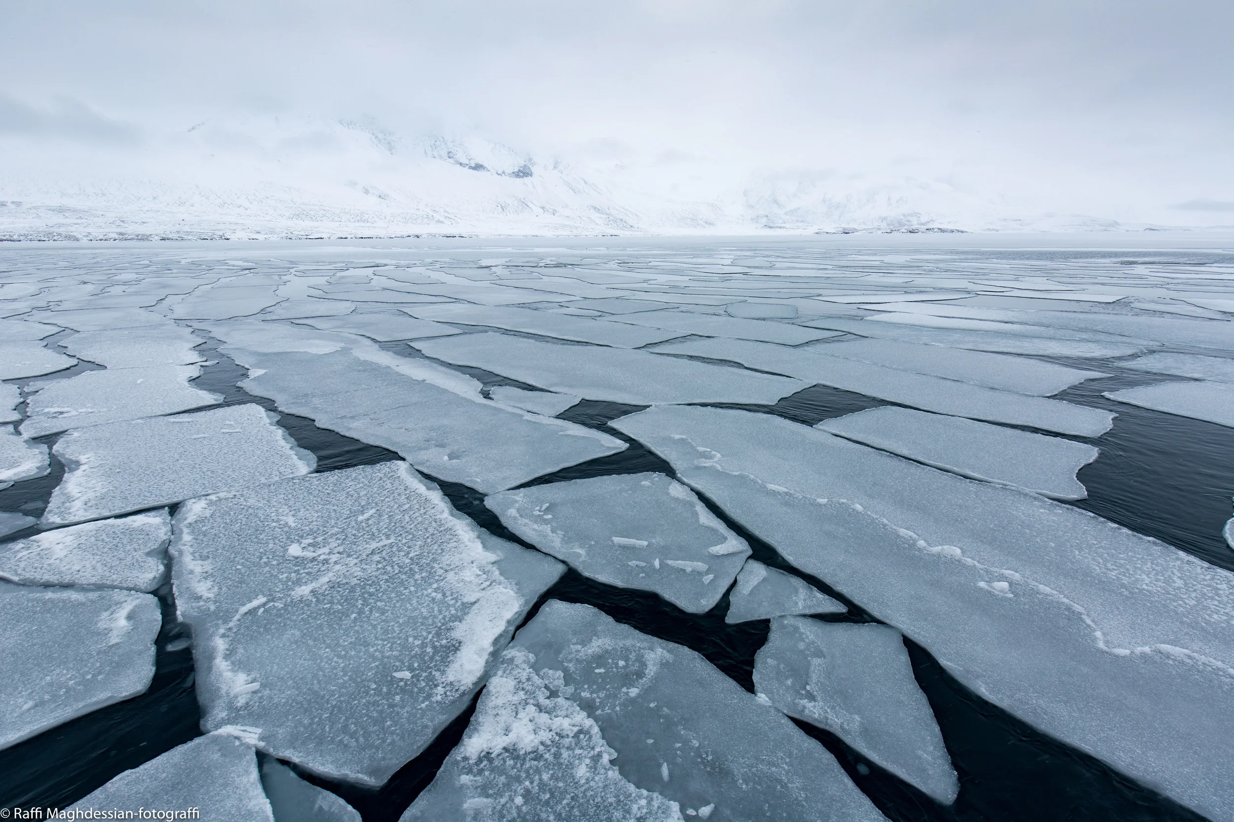 Svalbard 2016-31.jpg