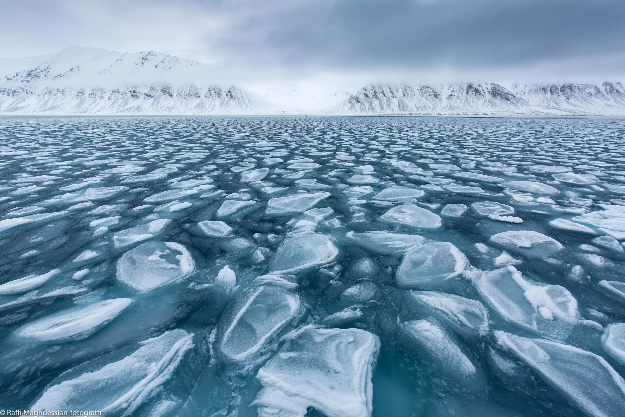 Svalbard 2016-32.jpg