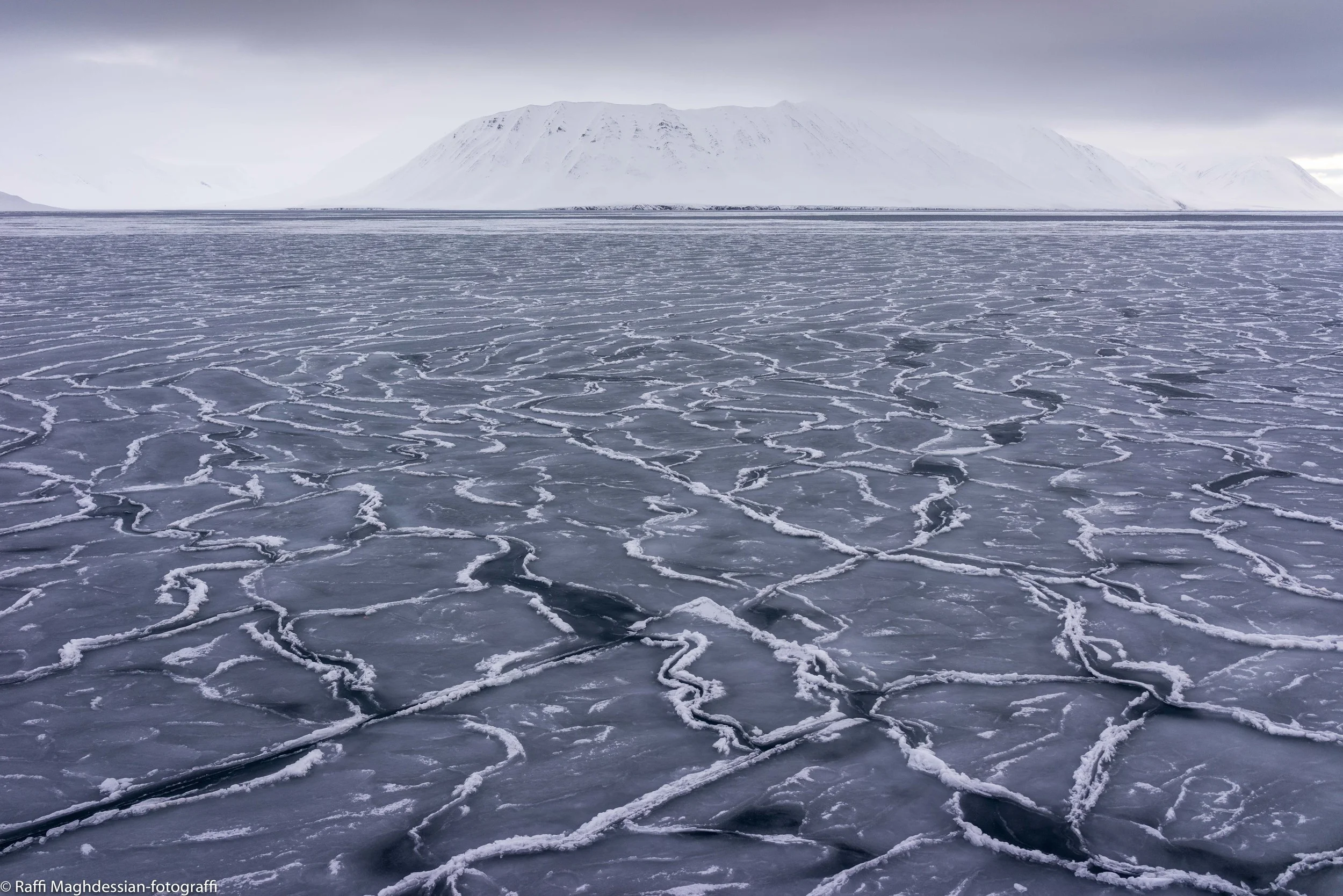 Svalbard 2016-71.jpg