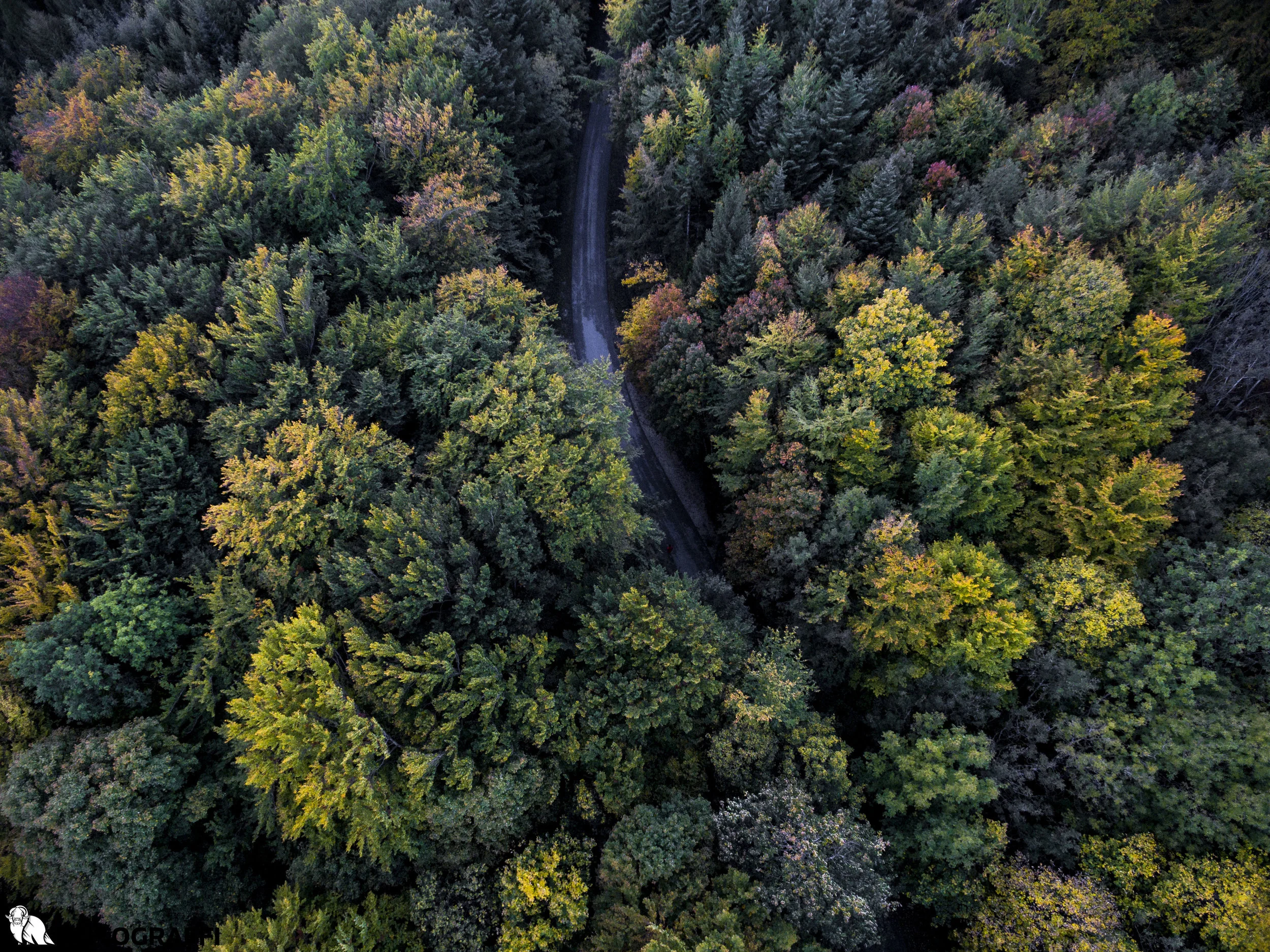 Drone Switzerland-35.jpg