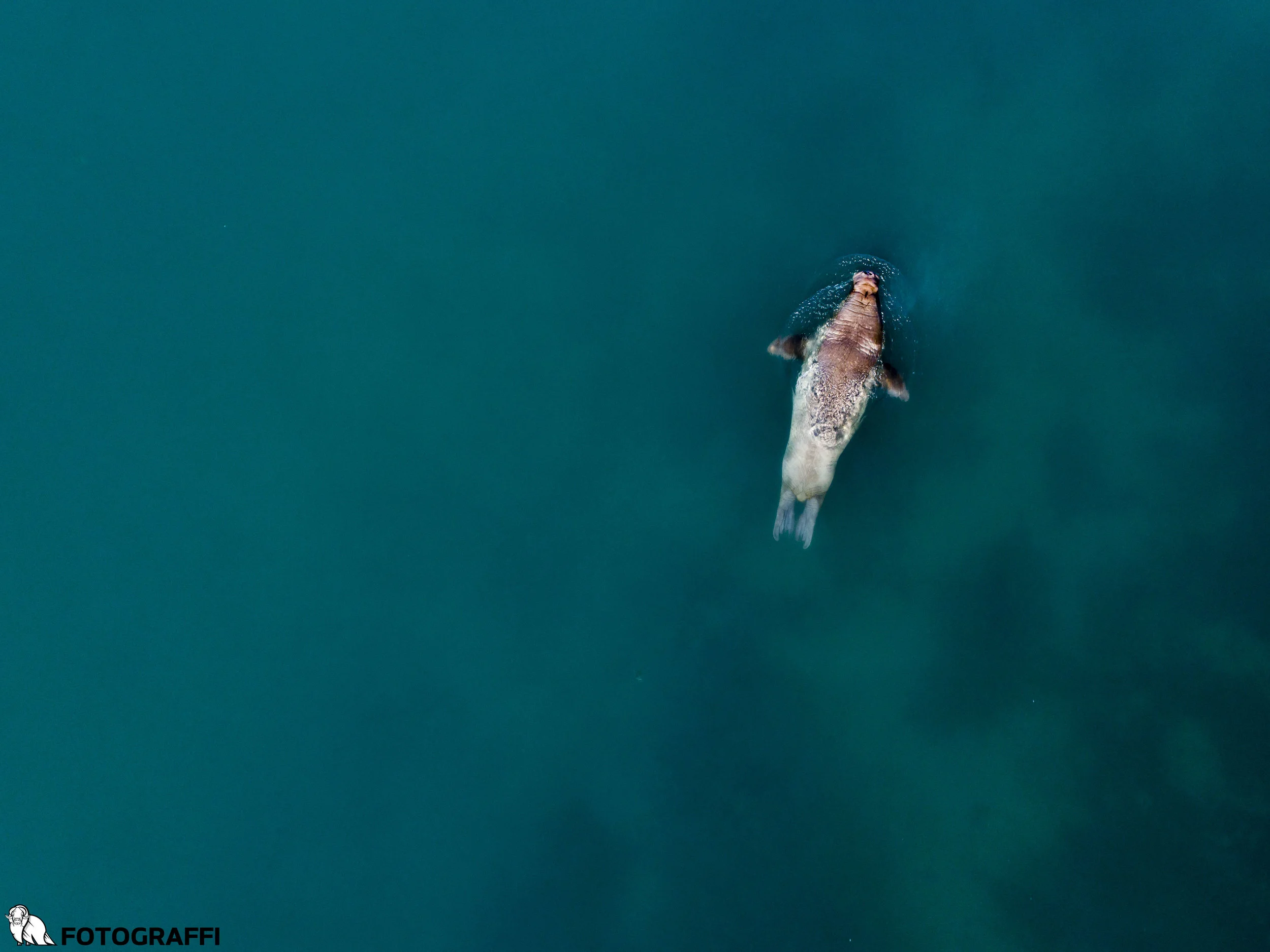 Drone Svalbard 2017-7.jpg