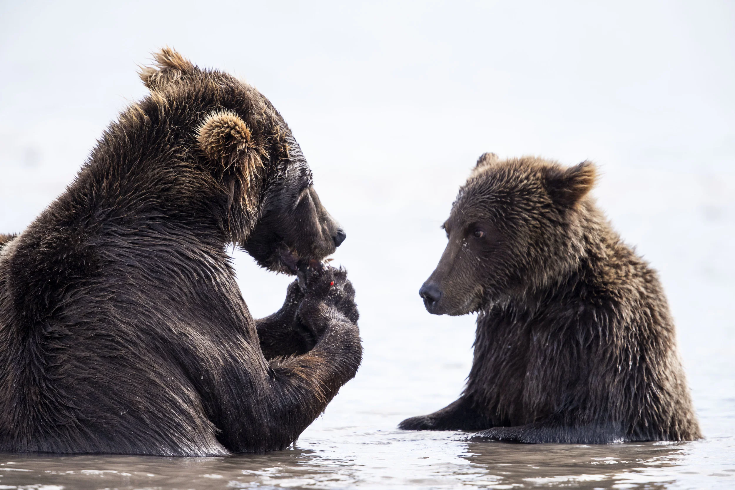 Kamchatka (1 sur 1)-9.jpg