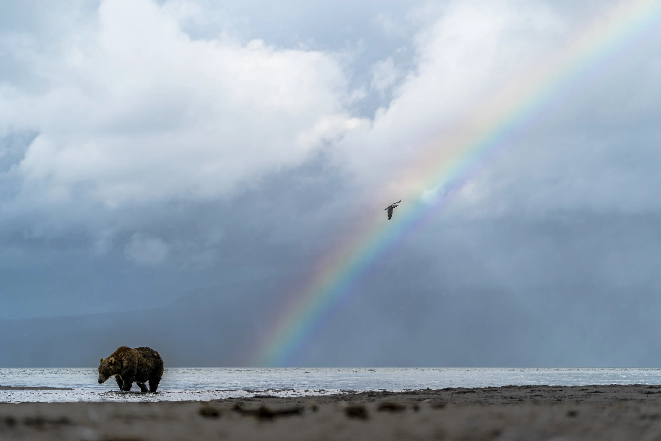 Kamchatka (1 sur 1).jpg