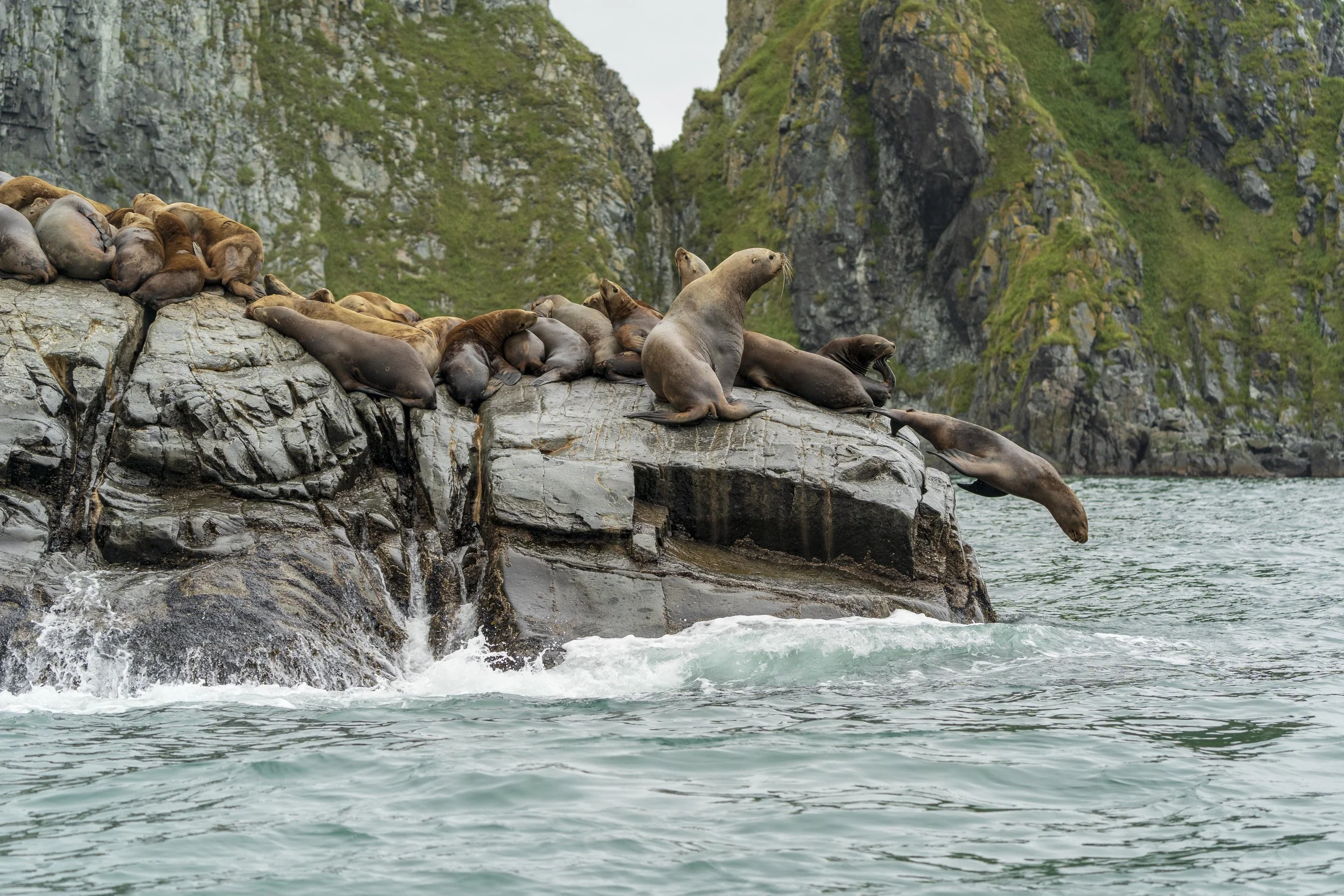 Kamchatka (1 sur 1)-30.jpg