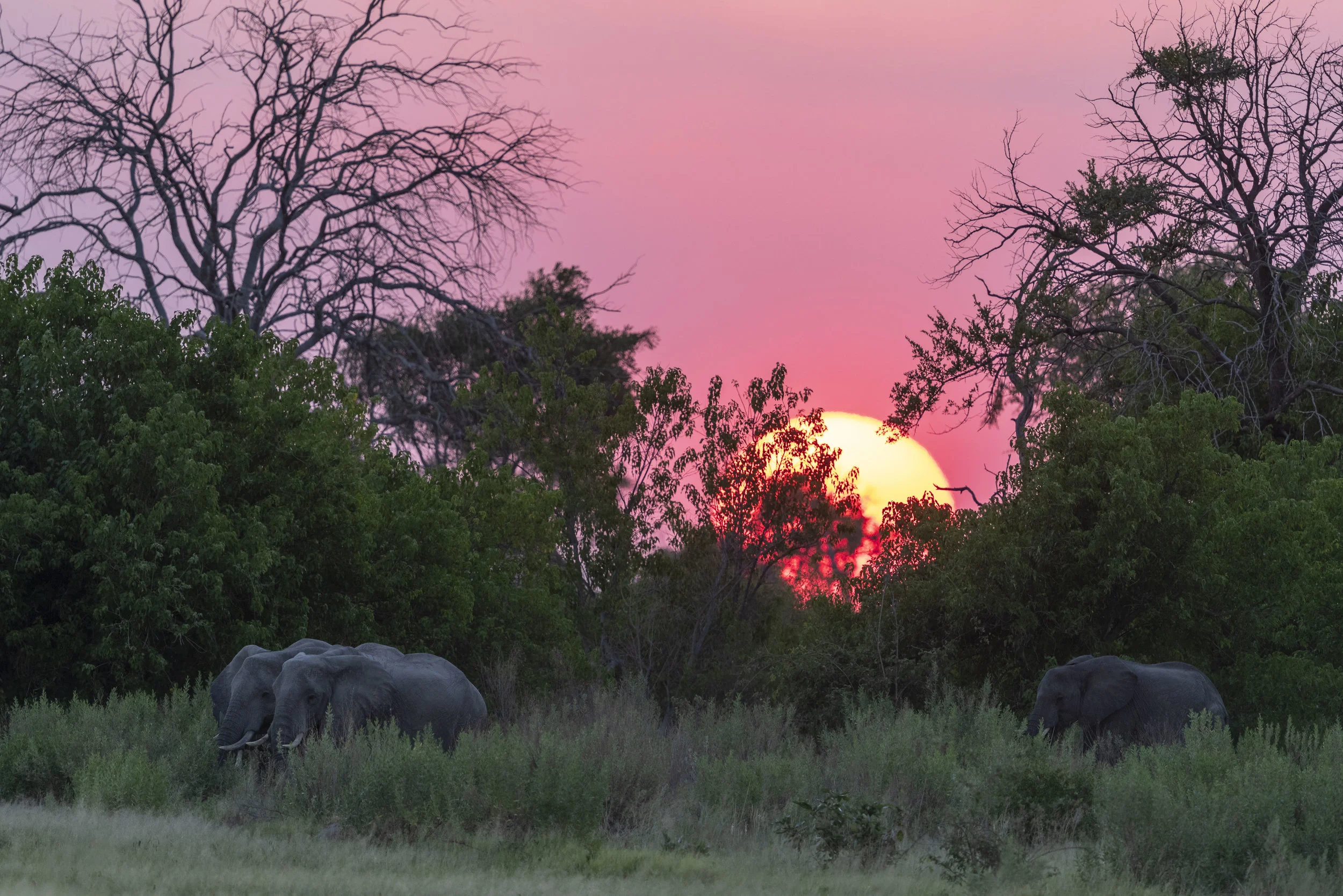 Botswana -1-3.jpg