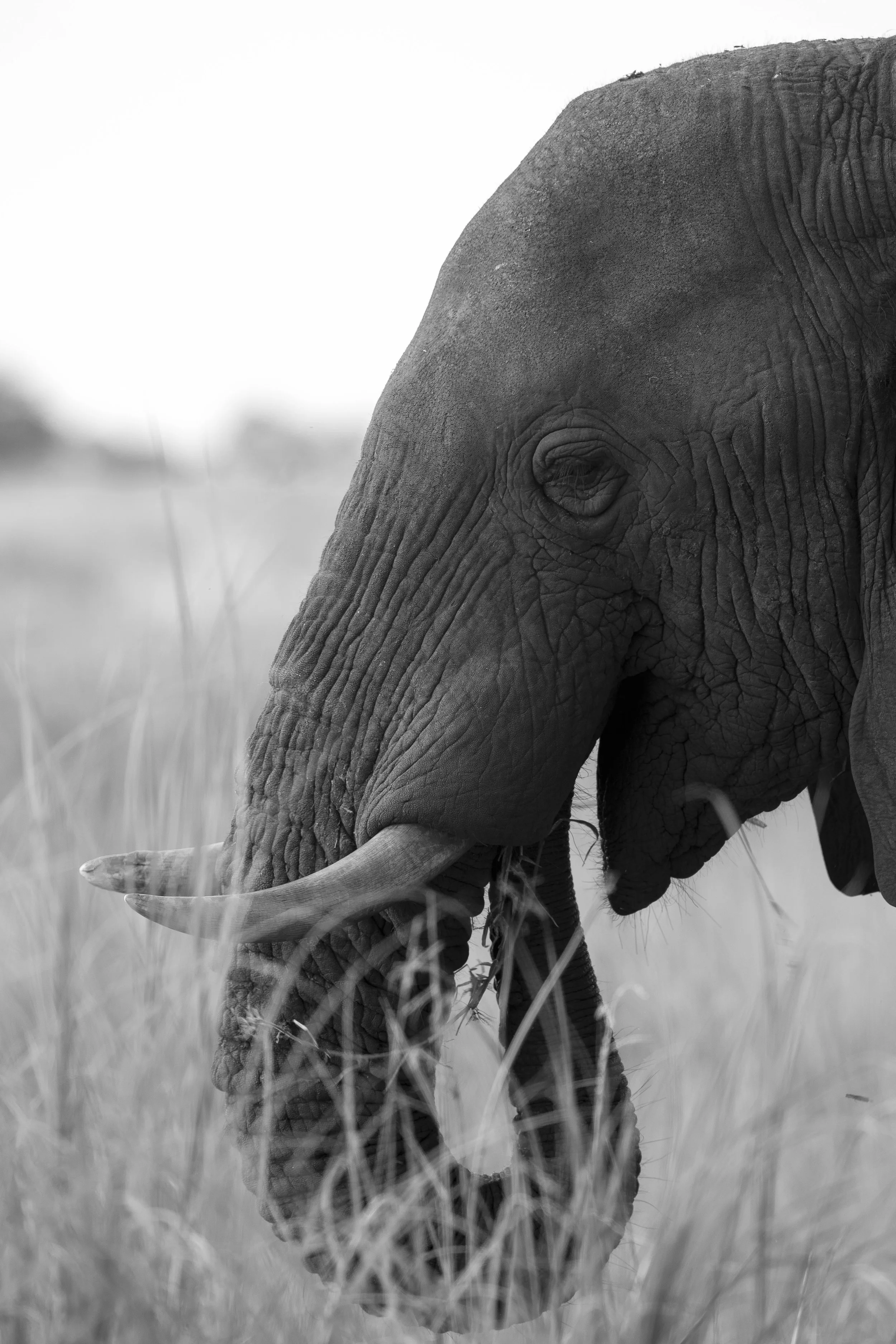 Botswana -5.jpg
