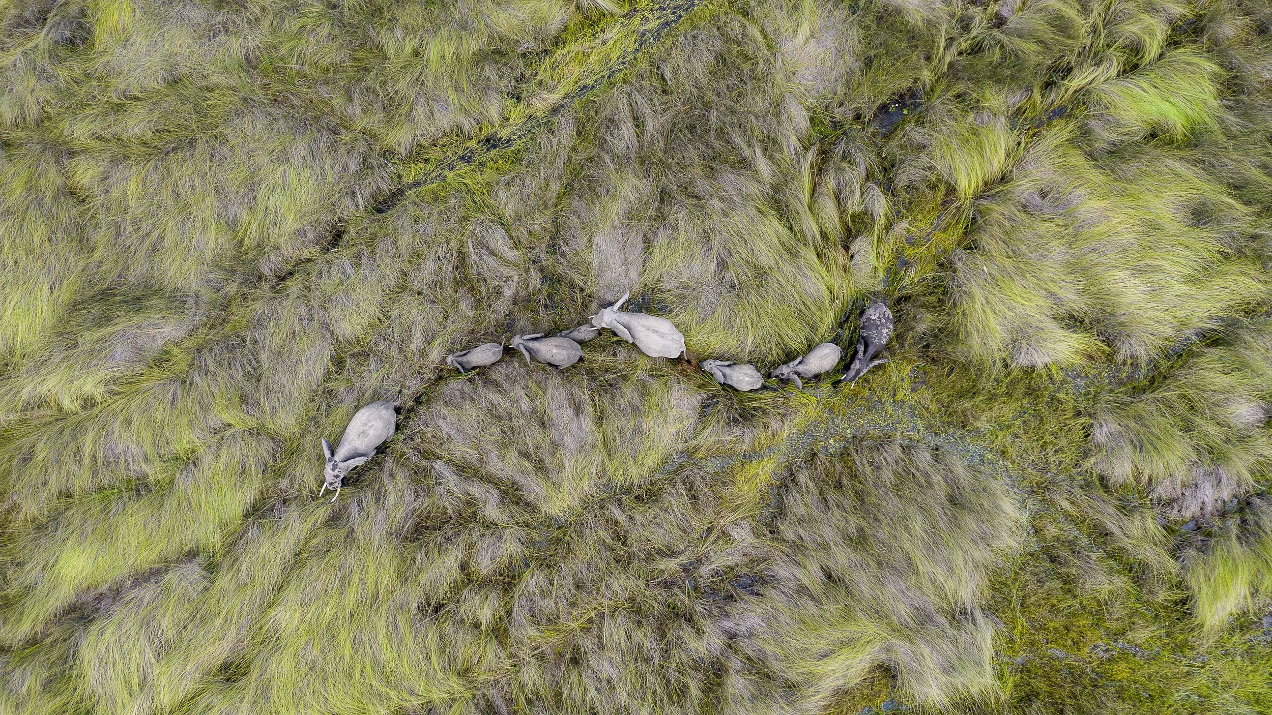 Botswana -1.jpg
