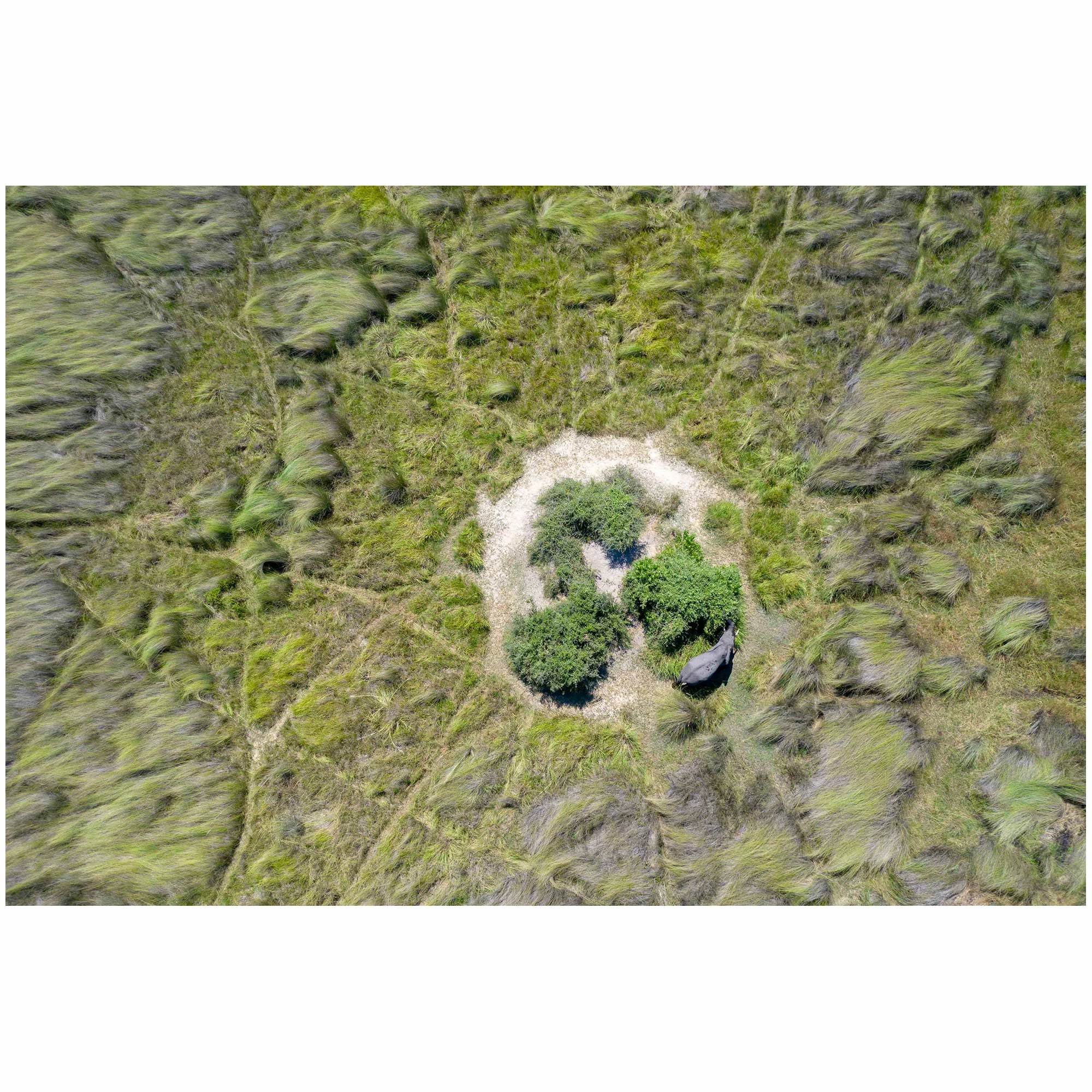 The paths