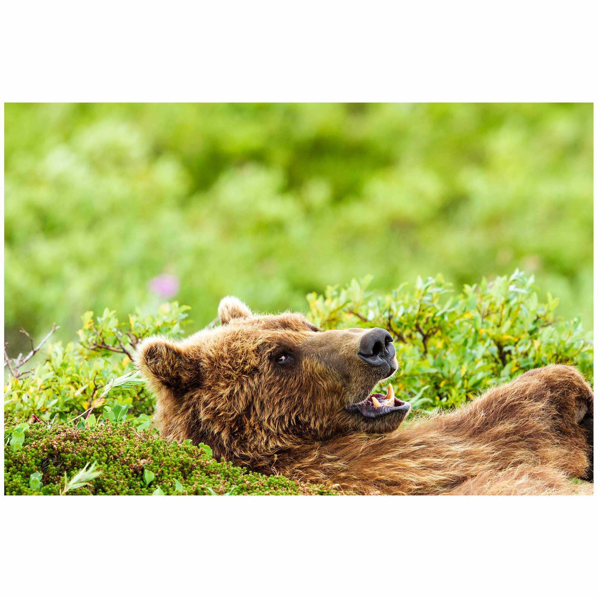 straight in the eyes-1.jpg