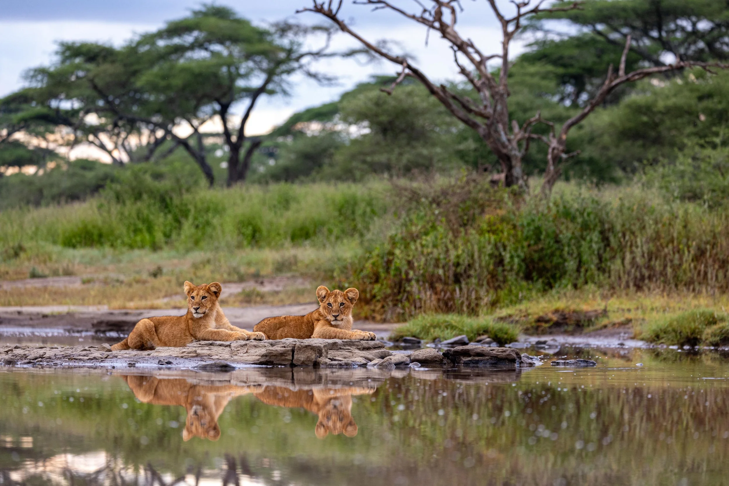 Tanzania 2024-46.jpg