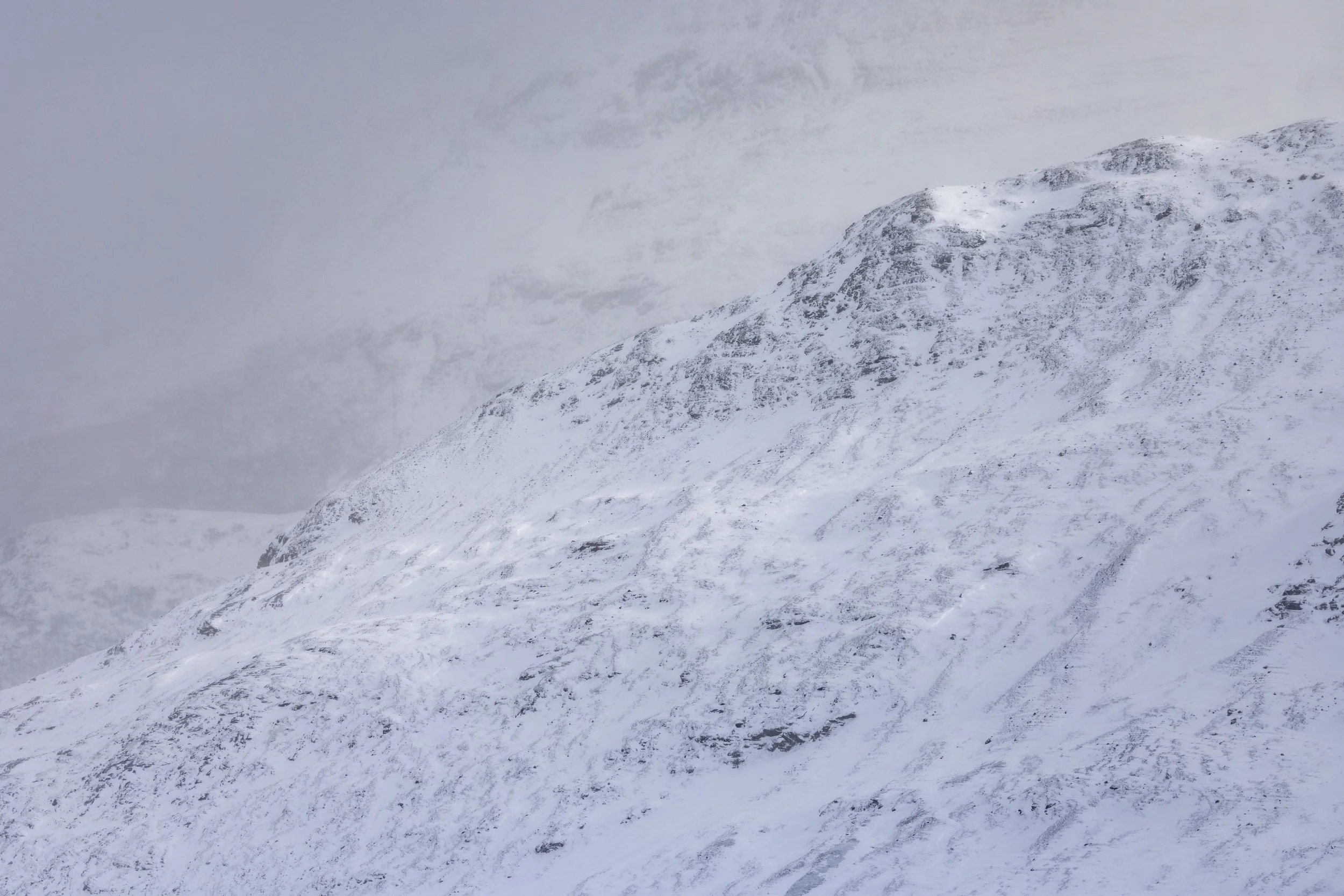 Dovrefjell 2026-4.jpg