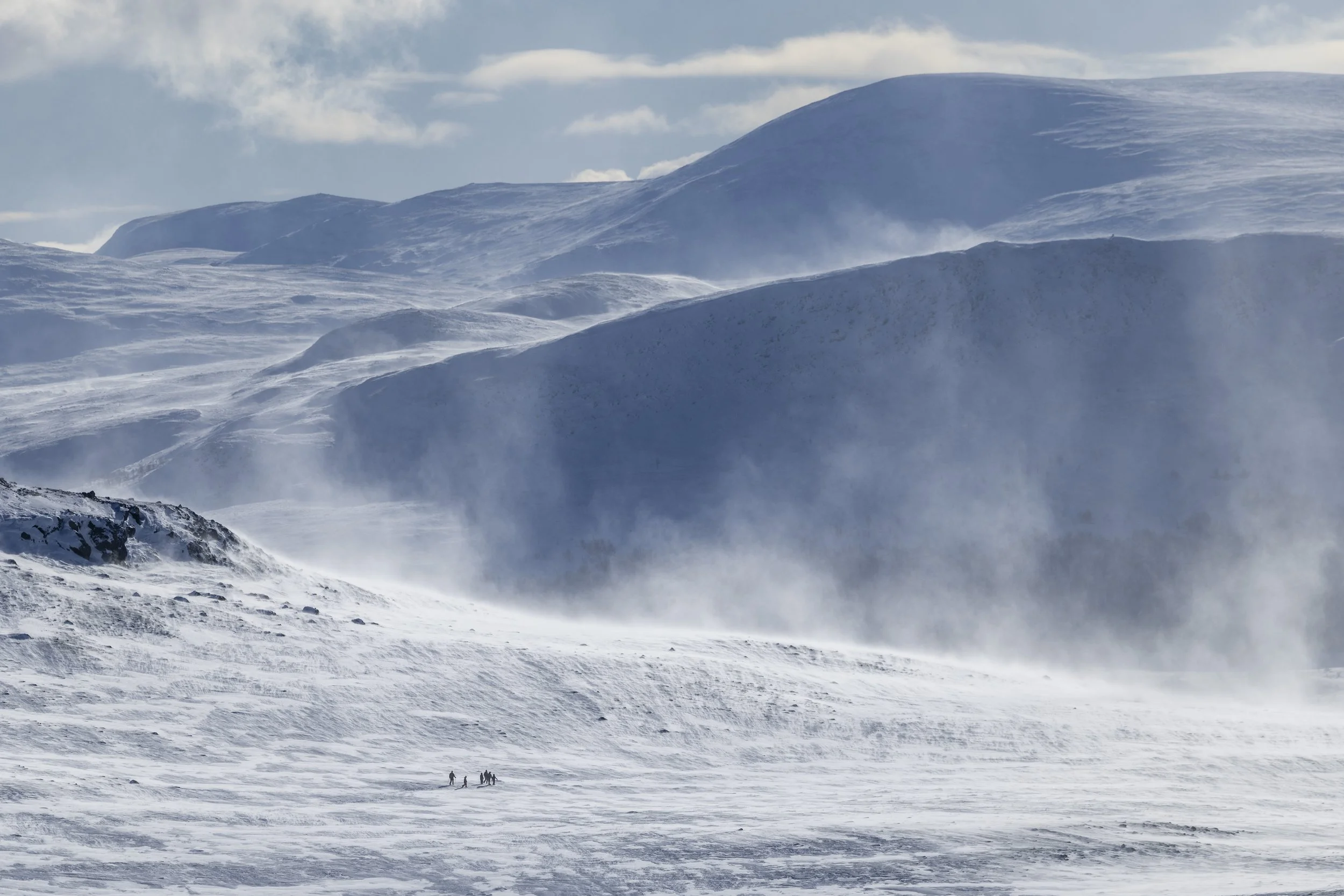 Dovrefjell 2026-2.jpg