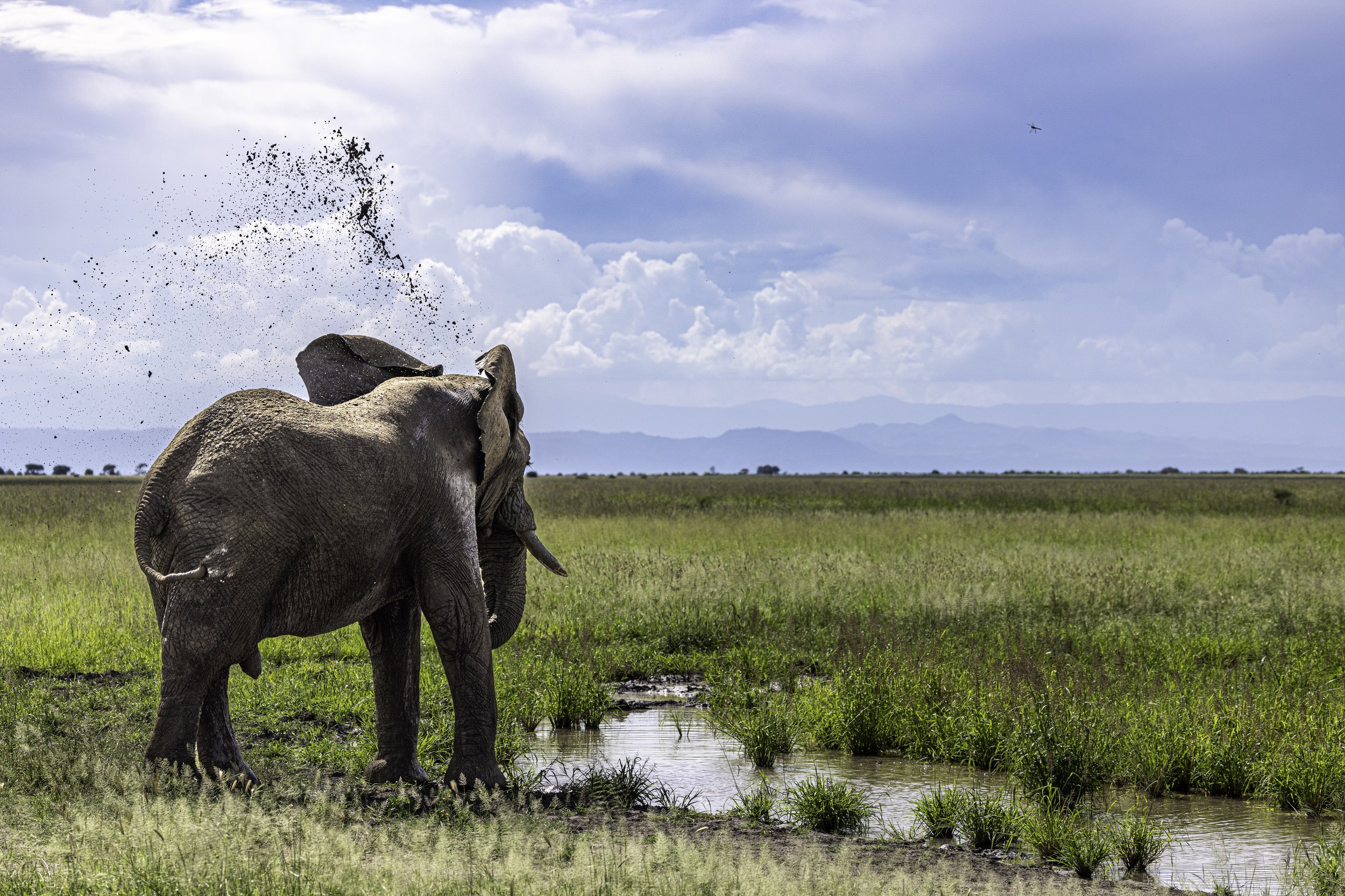 Tanzania 2026-60.jpg