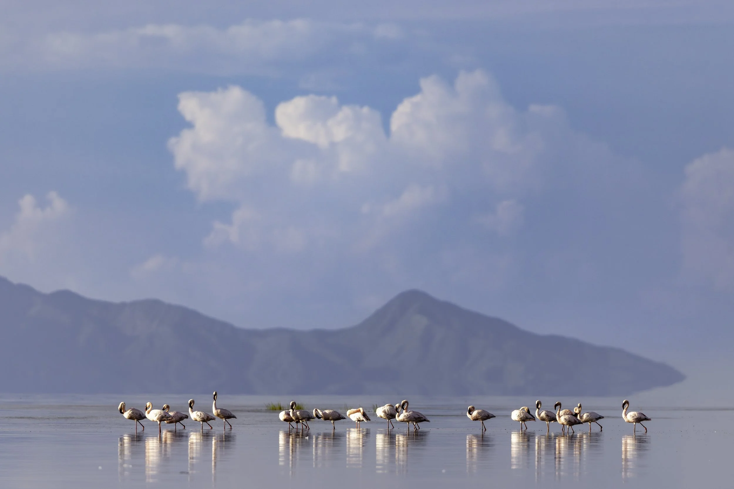 Tanzania 2026-56.jpg