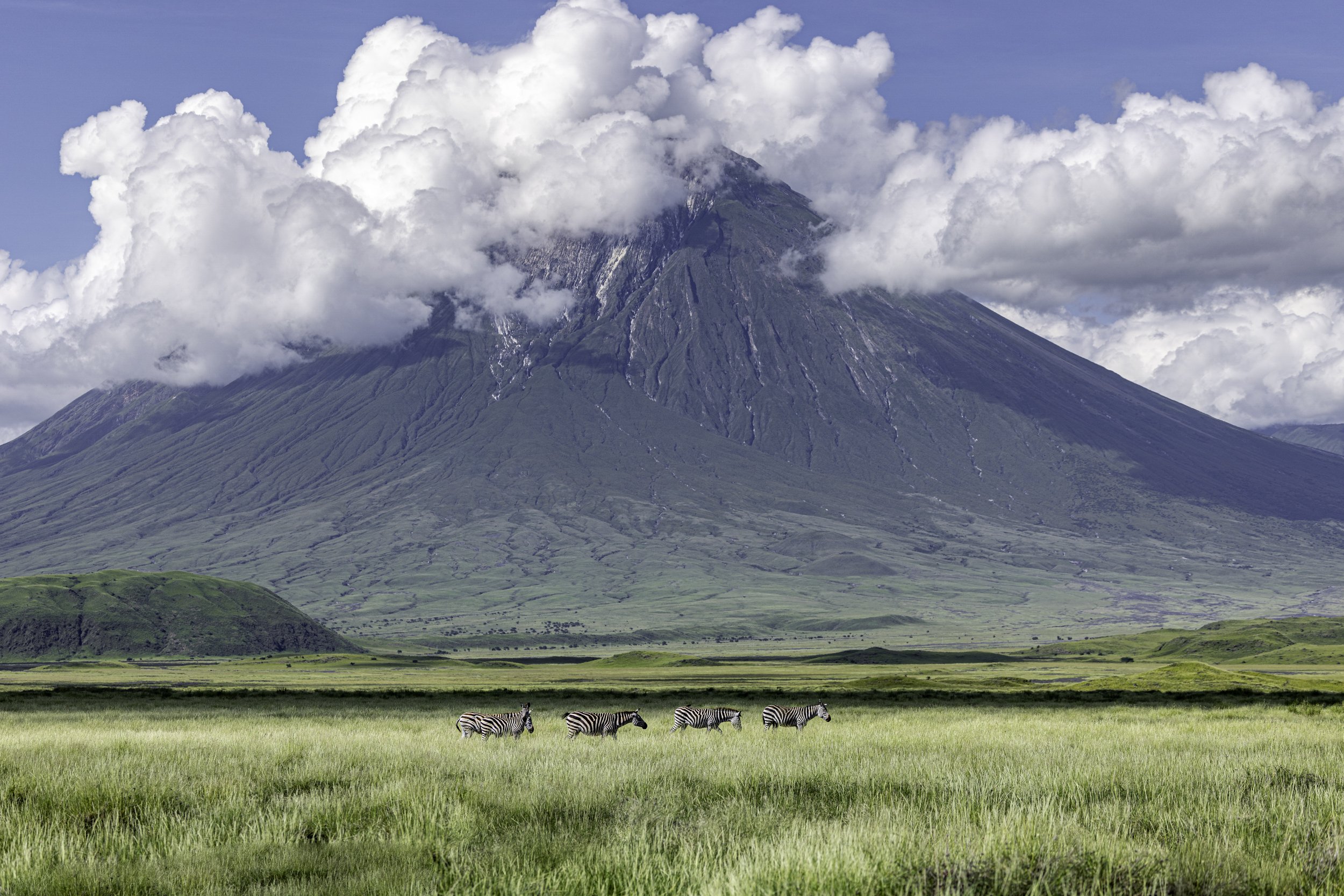 Tanzania 2026-52.jpg