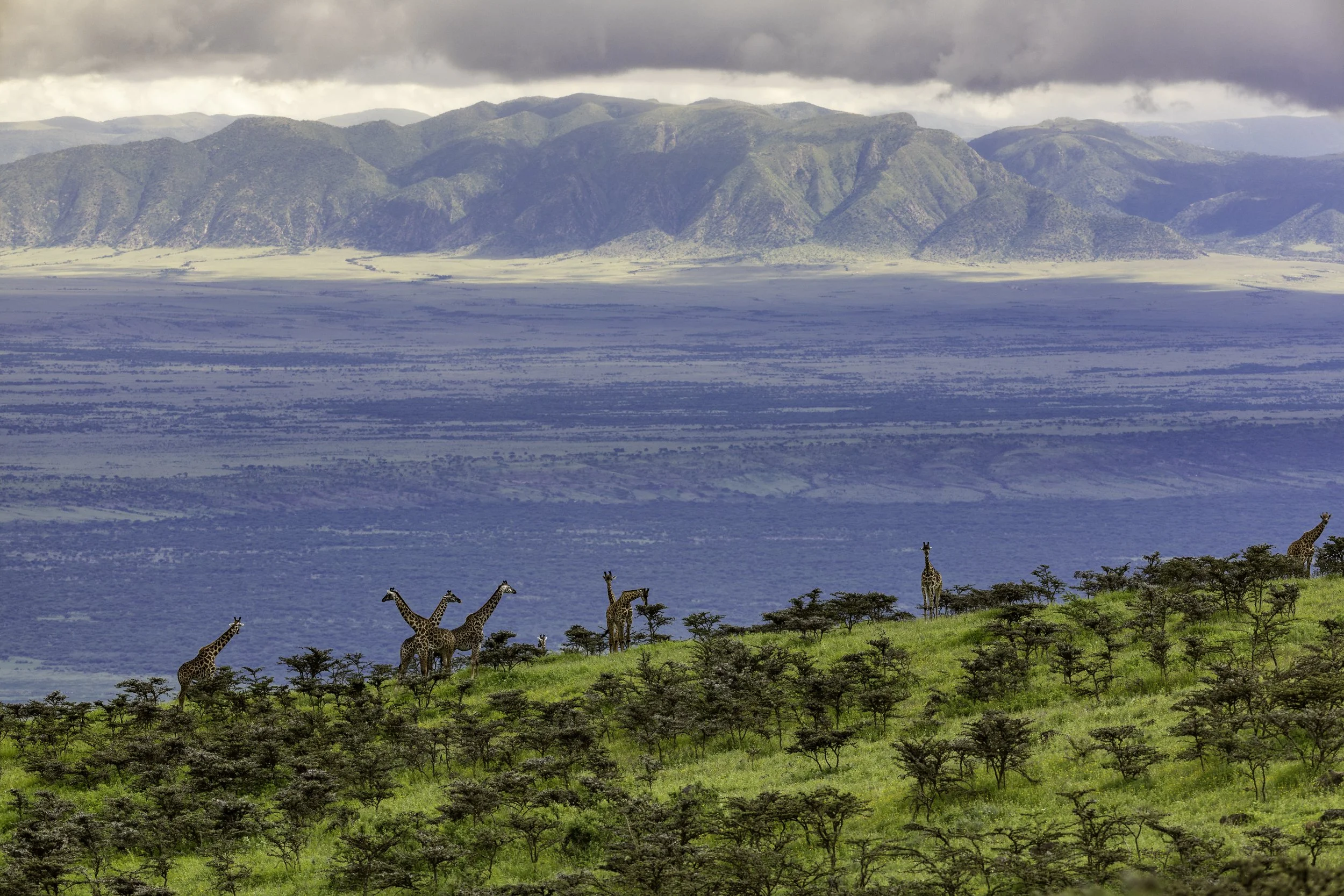 Tanzania 2026-50.jpg